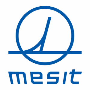 MESIT GROUP - logo