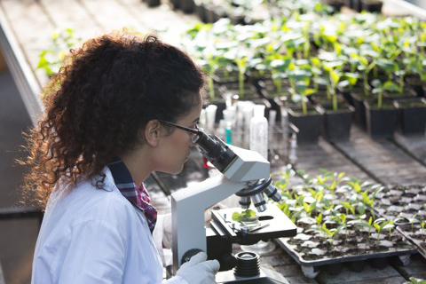 agro_625490996__480x320pxl.jpg
