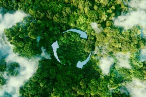 shutterstock_2356417187-Environmentalni-prumysl_480x320pxl_fullhd.jpg