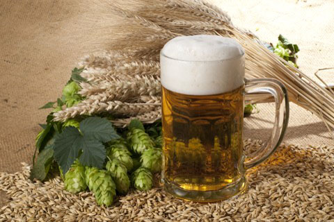 pivo-shutterstock_66950947__480x320pxl.jpg