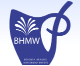 BOHEMIA HEALING MARIENBAD WATERS a. s. - logo