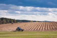 shutterstock_31841200_traktor_225x150.jpg