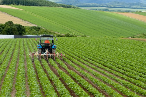 shutterstock_205243312_traktor__480x320pxl.jpg