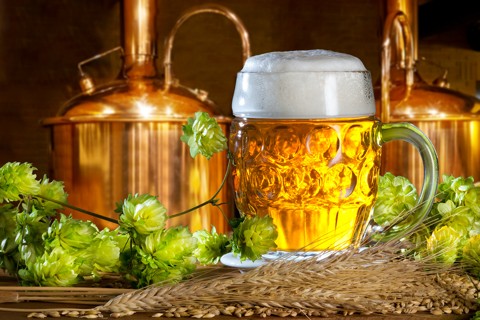 shutterstock_522008851_pivo__480x320pxl.jpg
