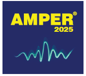 AMPER 2025