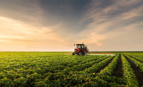 agriculture.jpg